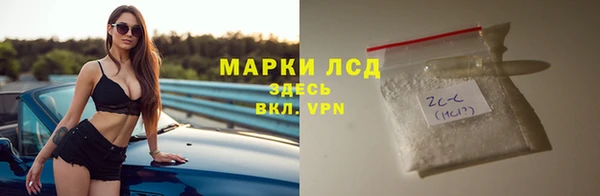 индика Алексин