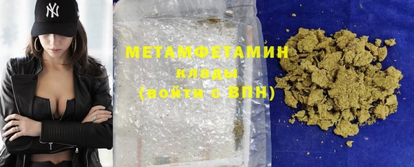 индика Алексин
