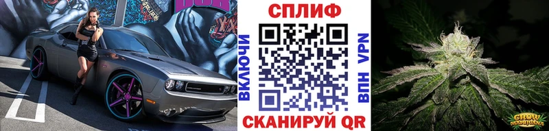 Бошки Шишки VHQ Ардатов